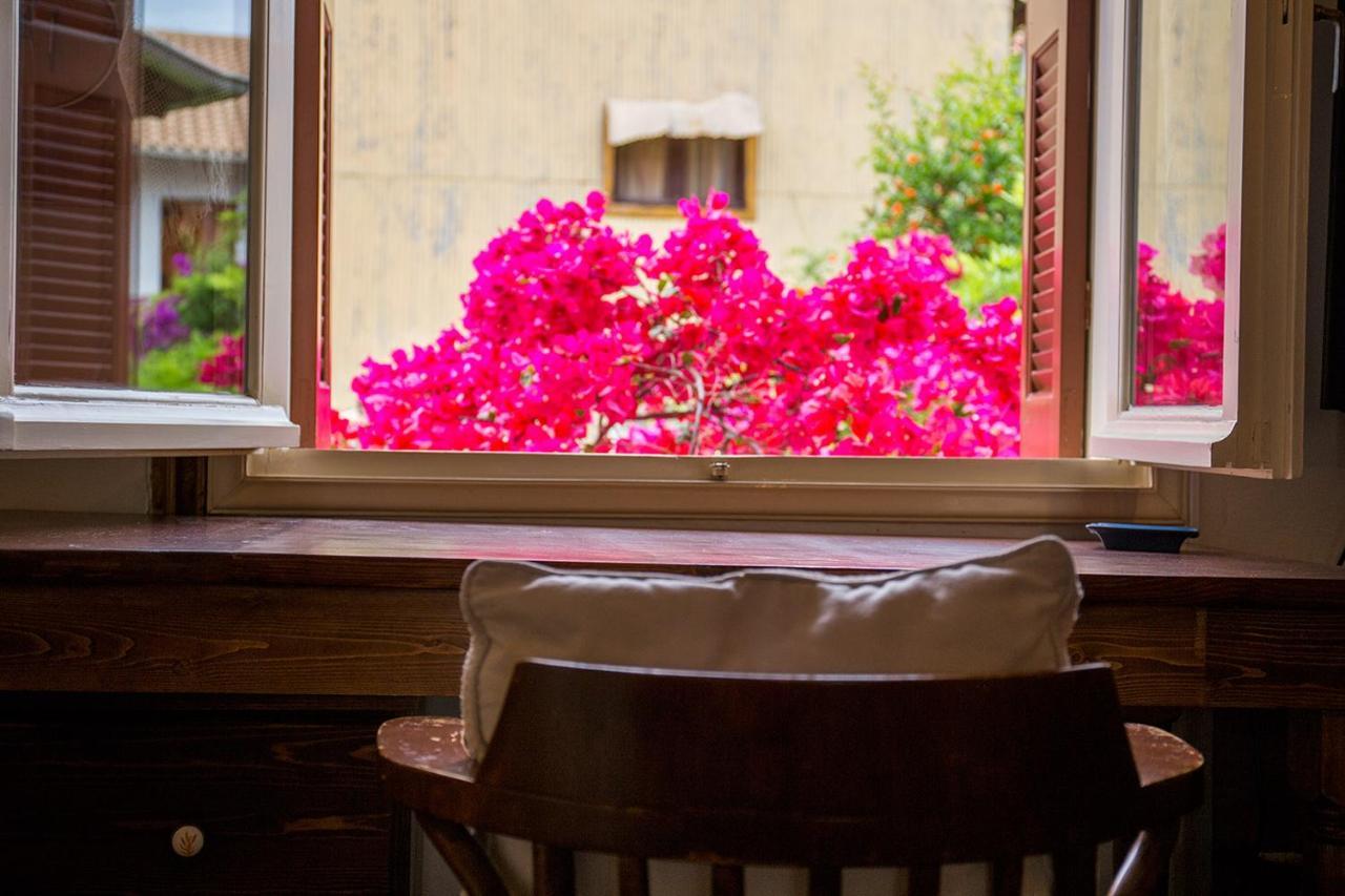 Lefkada Town Traditional House / Cozy Yard Exterior photo